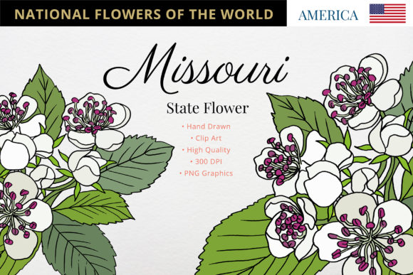 A Practical Guide to Missouri’s White Hawthorn Blossom