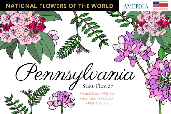 Beyond the Official Designation: The Pennsylvania State Flower as a Creative Resource
