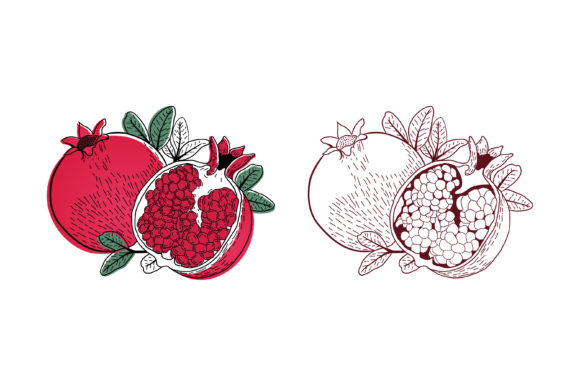 Retro Pomegranate Art: The Delima Illustration Template