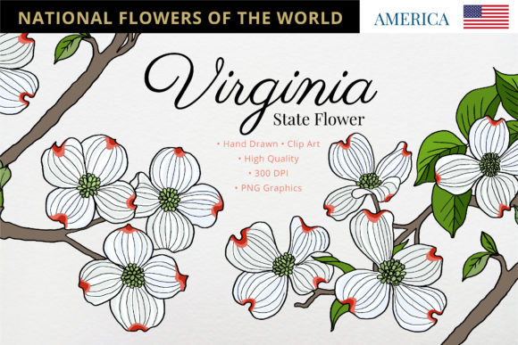 The American Dogwood: Virginia’s State Flower & A Creator’s Resource