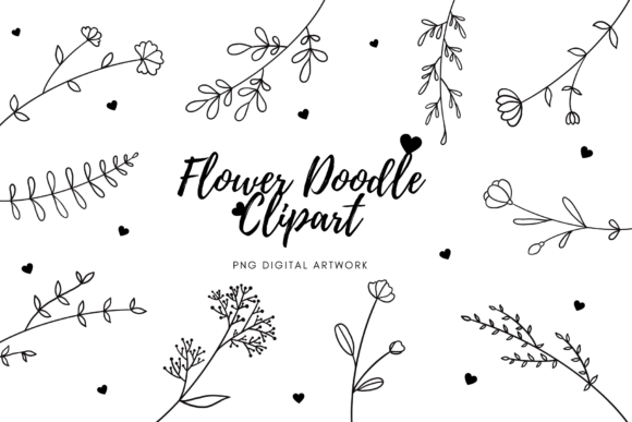 The Charm and Utility of a Botanical Hand Drawn Collection