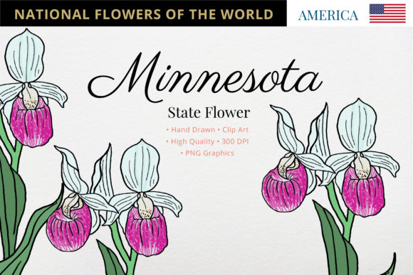 The Pink and White Lady Slipper: Minnesota's State Flower and a Strategic Symbol
