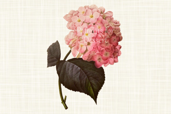 The Practical Appeal of Hydrangea Pink Flower Clip Art